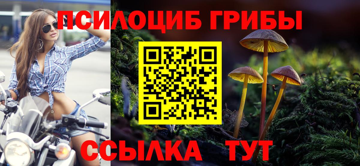 Галлюциногенные грибы мухоморы  Псилоцибиновые грибы Psilocybine cubensis  Вход с VPN  Уссурийск 